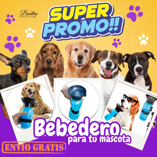 Bebedero para tu Mascota 🐾💧